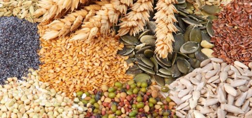 grains promote weight loss and good health
