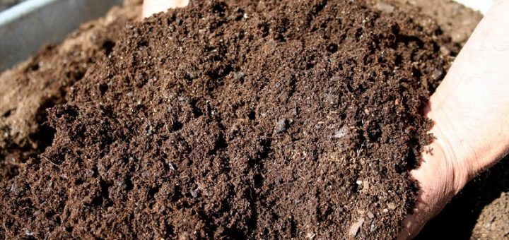 How to make your natural fertilizer?