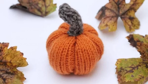 Easy Pumpkin Knitting Patterns